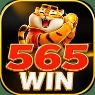 cs565win