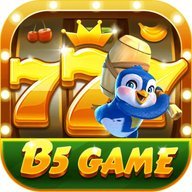 b5gamerarzyr