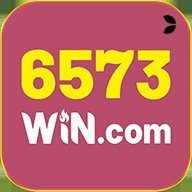zx6573win