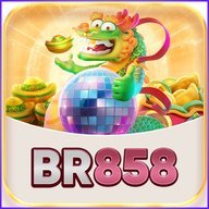 br858amwooyl