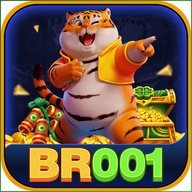 br001fcbifdk