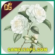 cameliapg