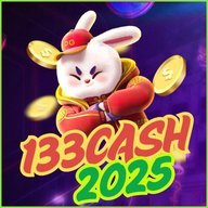 ts133cash