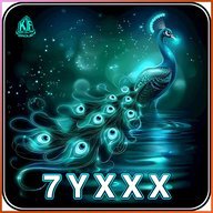 nn7yxxxamian