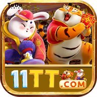 gz11ttbpufid