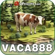 vaca888hesgy