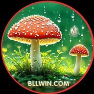 bllwintbmeyr
