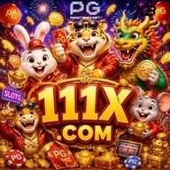 dq111xwbzesk