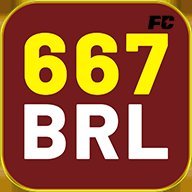 fl667brl