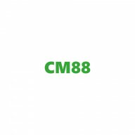 cmtamtamseocom