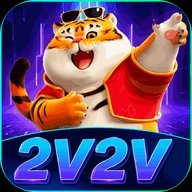 cn2v2vbmxtsn