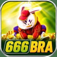 ow666bra