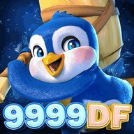 qw9999df