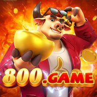 ws800game