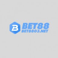 bet8803net
