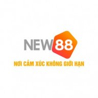 new88okcom