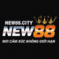 new88city