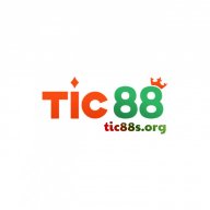 tic88sorg
