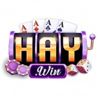 haywinsnet