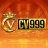 cv999dtukazl